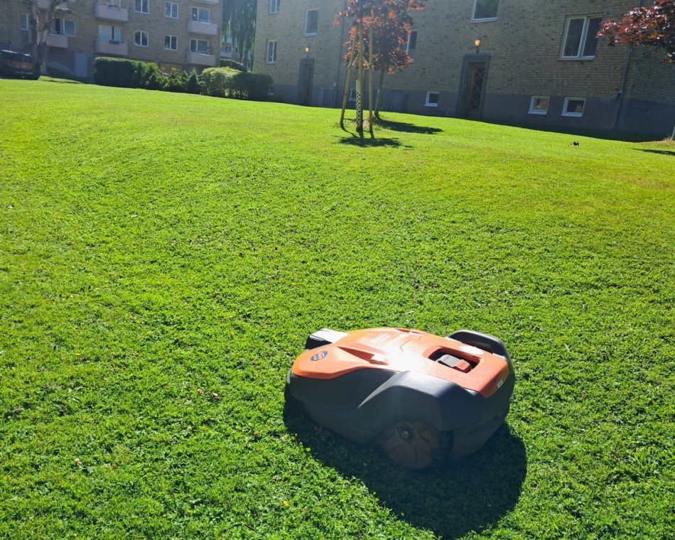 BRF Delsjövägens fantastiska gräsmatta!