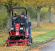 Toro Proline H800 Toro Proline H800